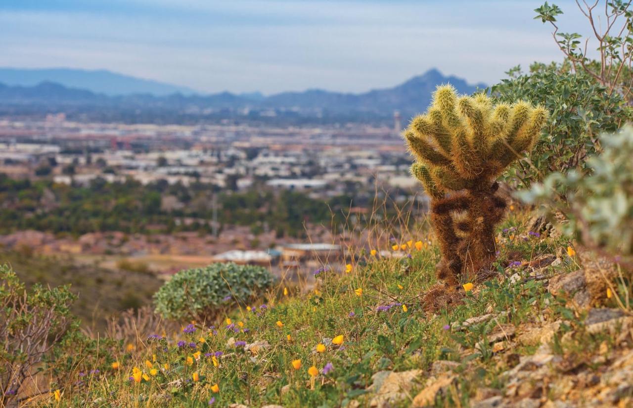 Raintree At Phoenix South Mountain Preserve Luaran gambar